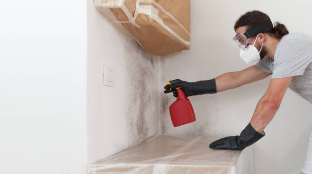 Professional Hvac And Air Duct Mold Remediation technician working in Melrose Park, NY